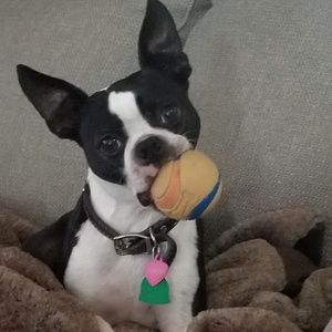 Meet your Posher, Debbie